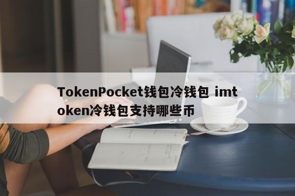 冷钱包支持什么币__冷钱包的币怎么提到交易所
