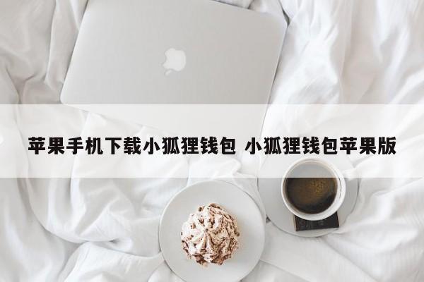 狐狸钱包如何插件安装__狐狸钱包ios